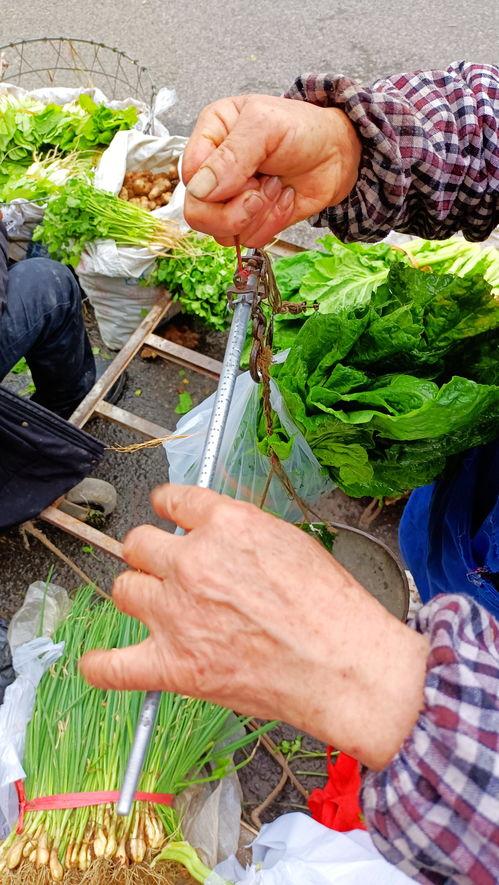 凯里网红吃瓜事件,揭秘网络舆论背后的真相与争议