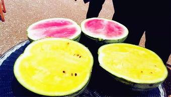 瓜老师吃瓜爆料,娱乐圈那些不为人知的秘密